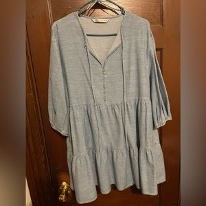 Zara long sleeve denim dress